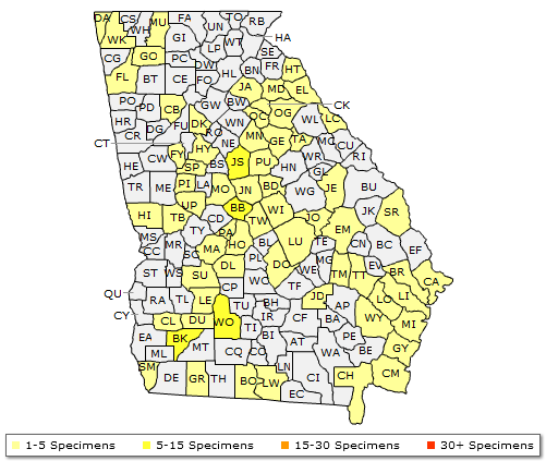 The range of Ilex decidua
